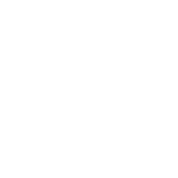 Client Review & Quality Assurance