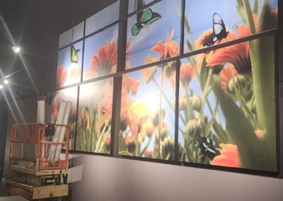 Adhesive Vinyl for Showroom Decoration Miami Printing services
