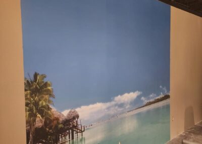 Adhesive Vinyl for Showroom Decoration Miami Printing services